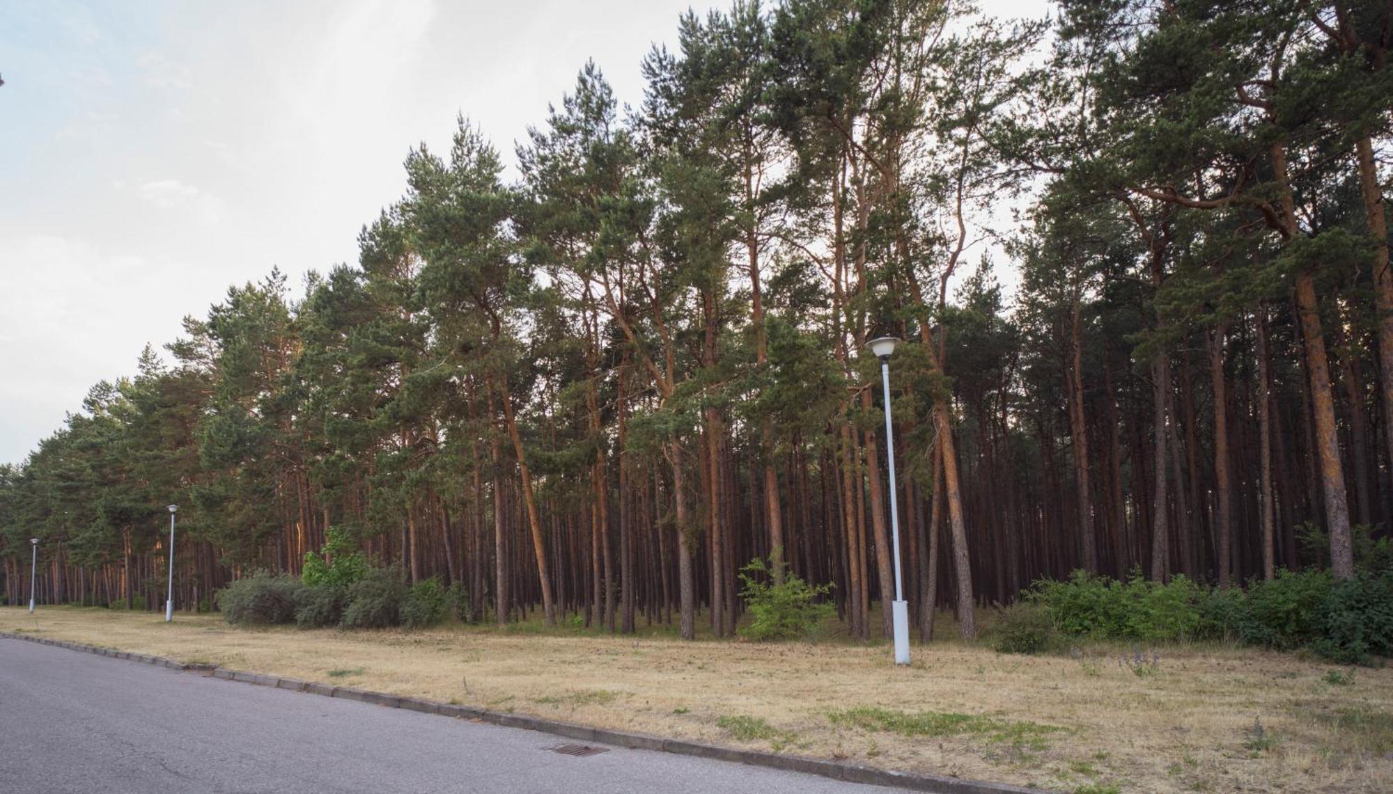 Vila Bite Palanga Dış mekan fotoğraf